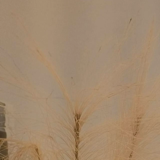 Foto 2 de Bruna Nathália Pinho Marques