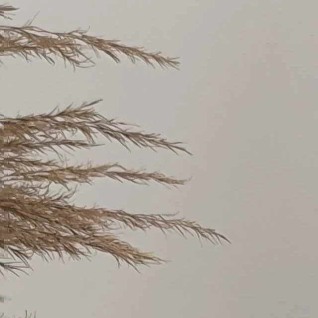 Foto 3 de Bruna Nathália Pinho Marques